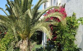 Creta Sun Hotel Studios